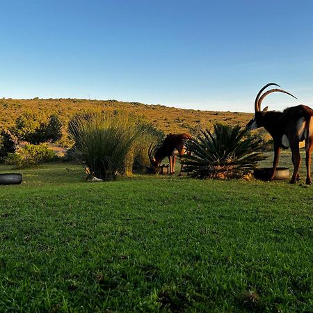 شقة Baardbos Private Game Reserve ستيلباي المظهر الخارجي الصورة