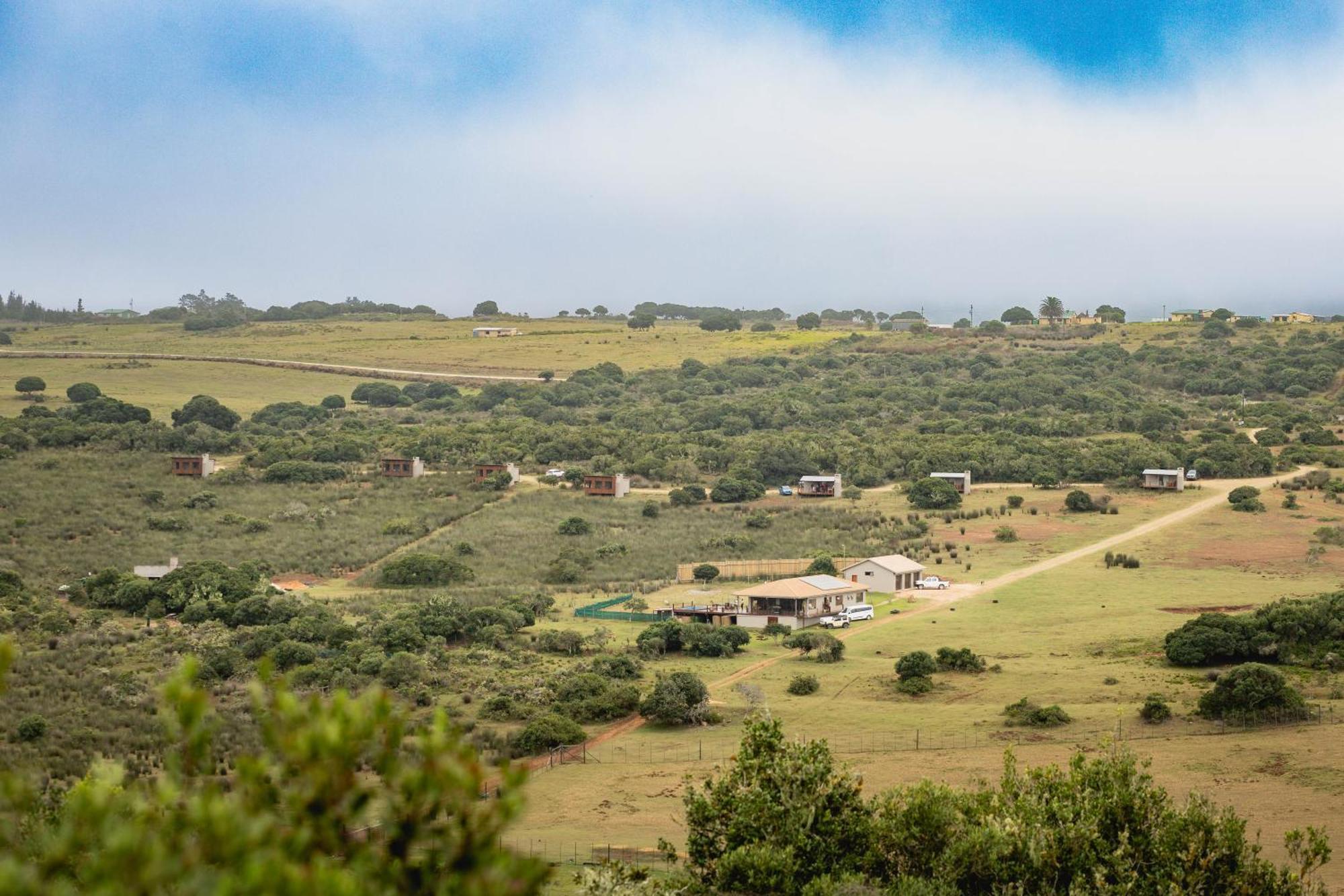 شقة Baardbos Private Game Reserve ستيلباي المظهر الخارجي الصورة