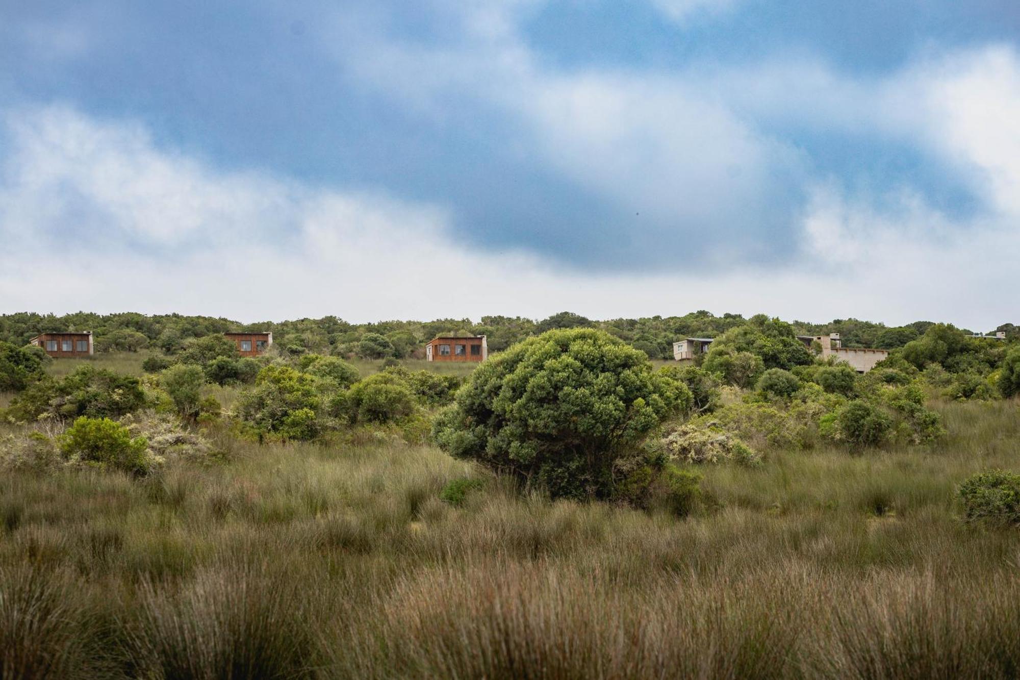 شقة Baardbos Private Game Reserve ستيلباي المظهر الخارجي الصورة